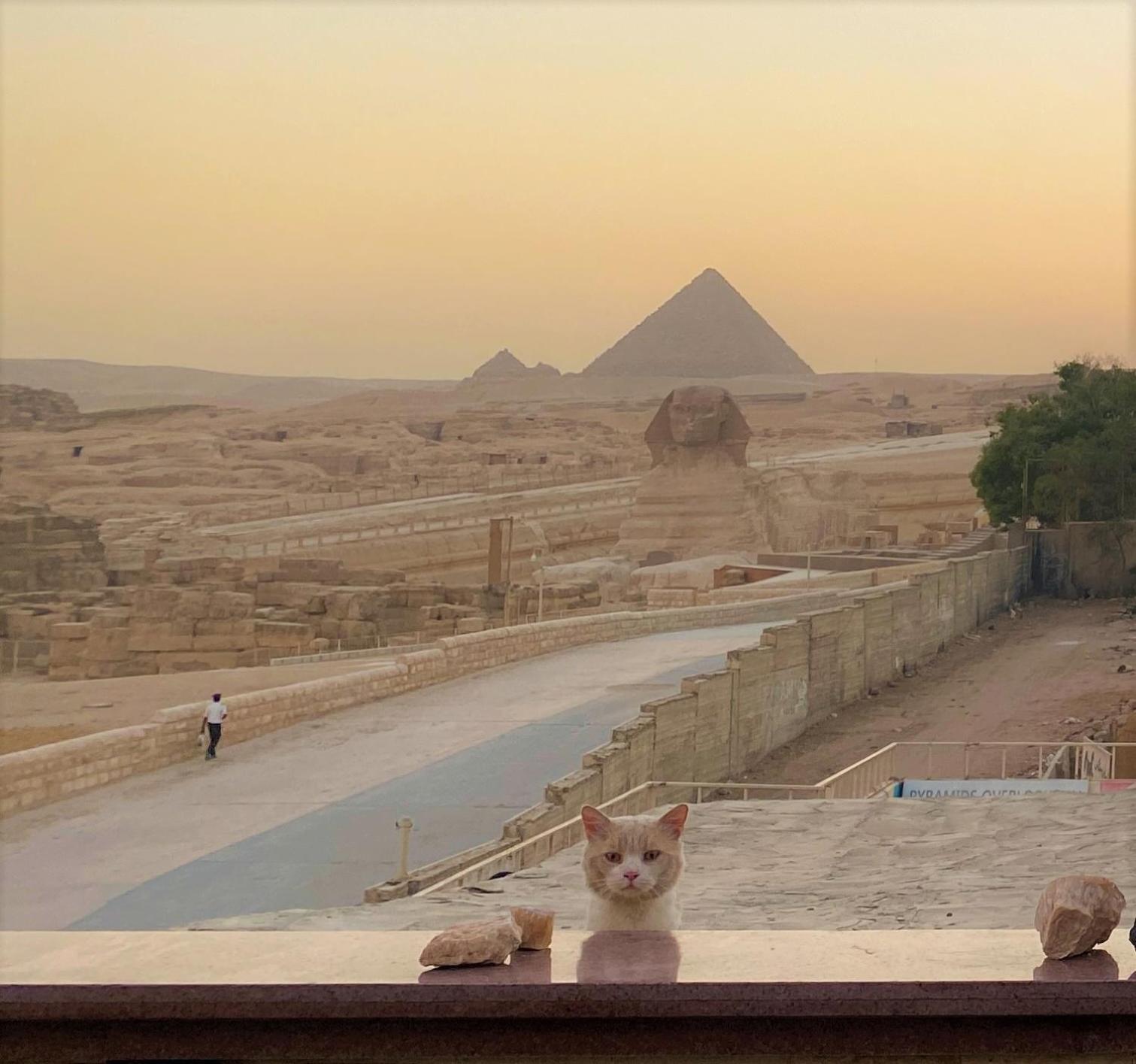 Seven Pyramids Panoramic View Inn Kafret el-Gabal Dış mekan fotoğraf